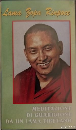 VHS - Meditazione di guarigione da un lama tibetano