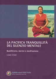 La Pacifica Tranquillità del Silenzio Mentale Buddhismo, mente e meditazione