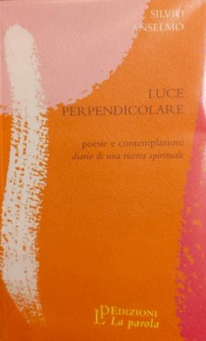 Luce perpendicolare: poesie e contemplazioni, diario di una ricerca spirituale