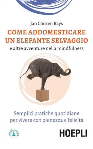Come addomesticare un elefante selvaggio e altre avventure nella mindfulness