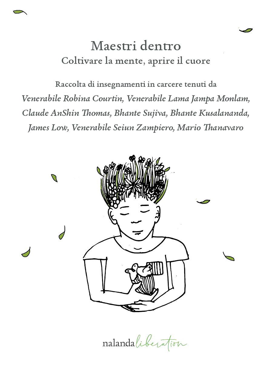 Maestri dentro. Coltivare la mente, aprire il cuore